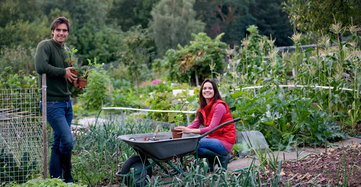 Young Couple Gardening